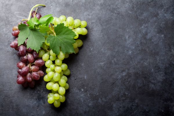 Descobrindo diferentes Tipos de Uvas para vinho