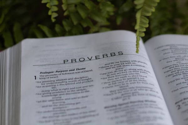 Provérbios 4 23 – Entendendo e Vivendo esse Ensinamento 