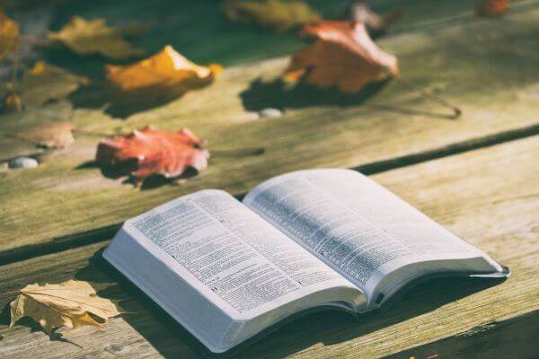 5 Maneiras de Ler a Bíblia